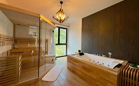 Vila Ferdinand Spa&Retreat